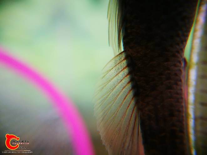 215701bejn9dkxc5j5kx58.jpg
