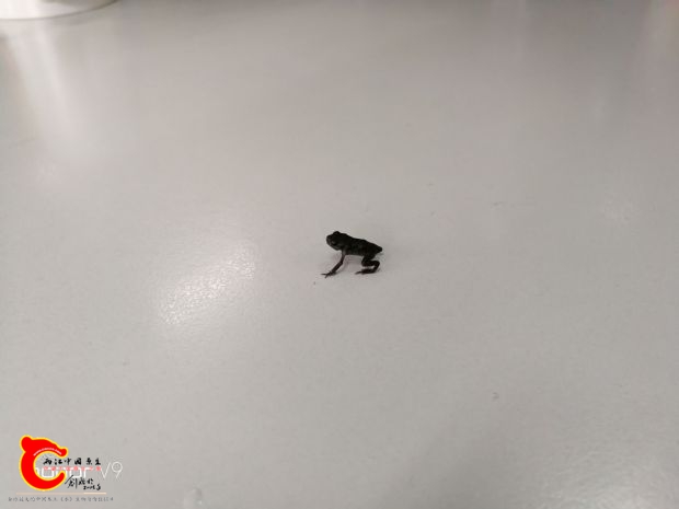 IMG_20170410_092520.jpg