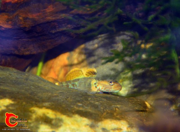 DSC_3162.JPG