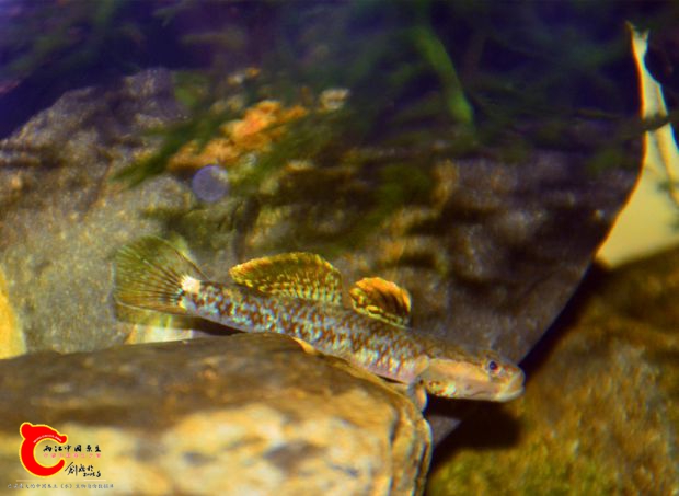 DSC_3165.JPG