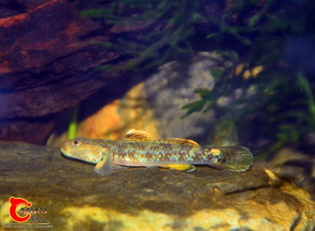 DSC_3176.JPG