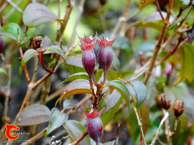 DSC03887.JPG