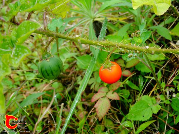 DSC03941.JPG