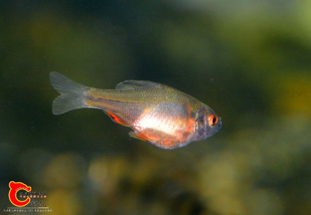 DSC_3256.JPG