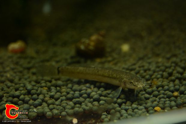 DSC_7905.JPG