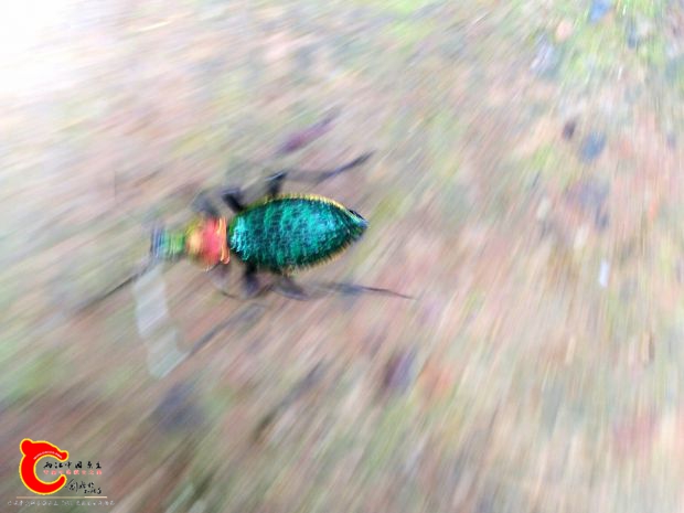 IMG_20170418_102417_看图王.jpg