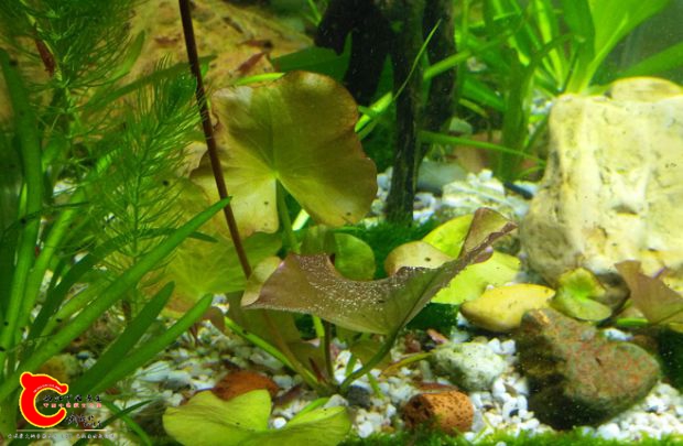 IMG_20170325_202045.jpg