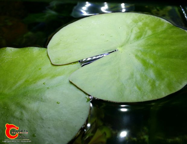 IMG_20170417_074435.jpg