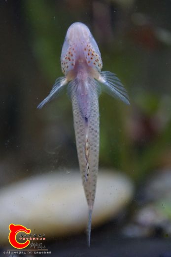 DSC05779_调整大小.JPG