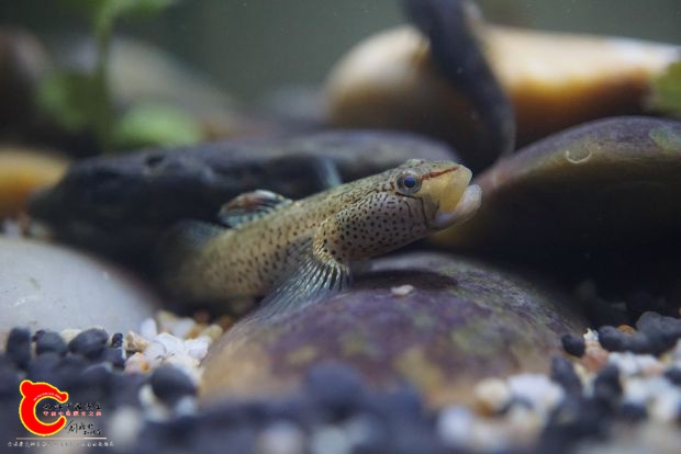 DSC05793_调整大小.JPG
