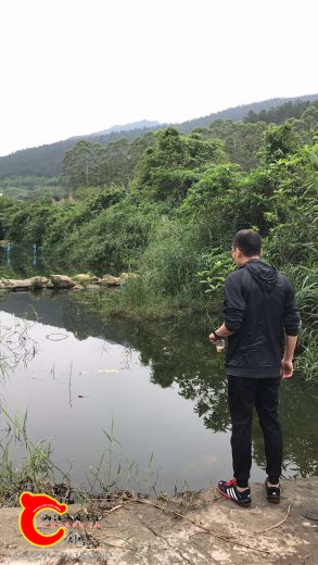 大师在看风水