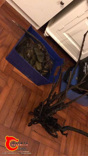 过程其实很痛苦，直接省略，回家开缸
