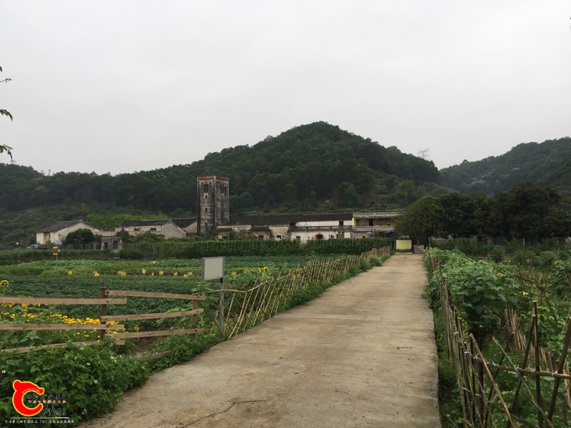 113347uantc7zfotxxfofl.jpg