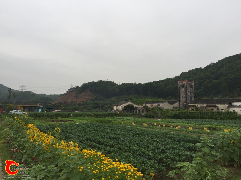 113348p508d17j7r19dy7g.jpg