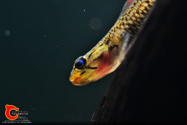 DSC_0710_副本_调整大小.jpg