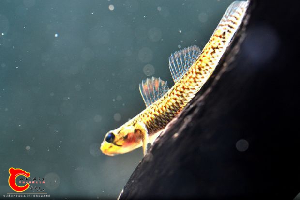 DSC_0702_副本_调整大小.jpg