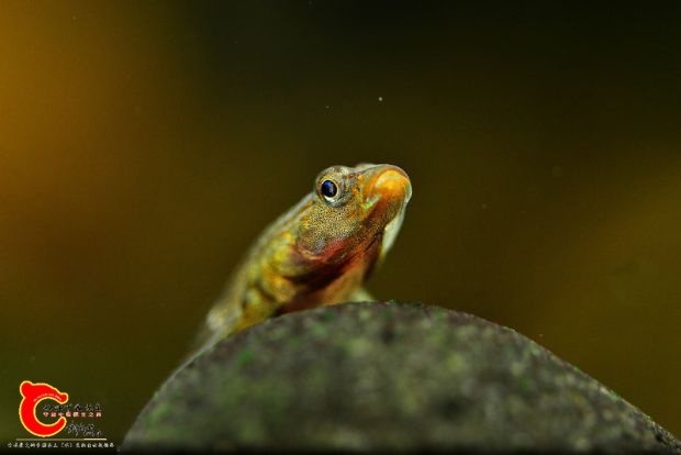 DSC_0635_副本_调整大小.jpg