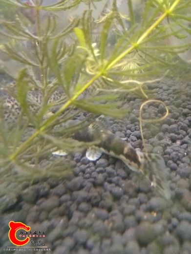 IMG_20170423_104126.jpg