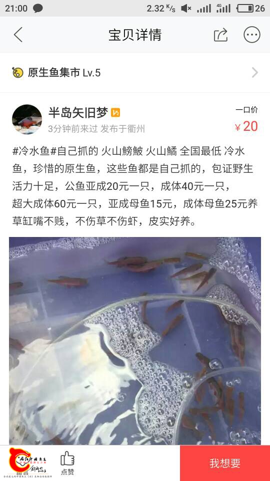 210144bqicuqvc41uczqet.jpg