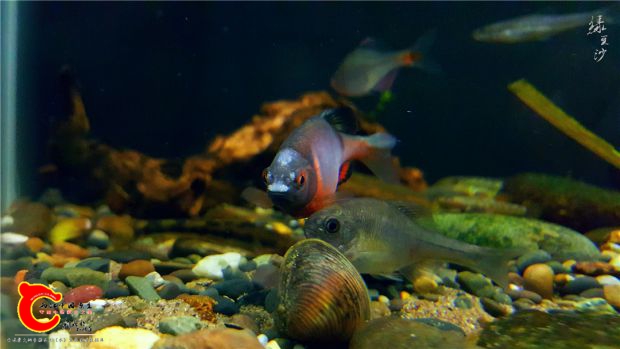 20170131_102939.jpg