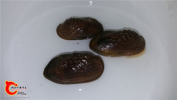 20170301_000027.jpg