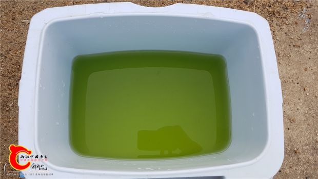 20170409_174614.jpg
