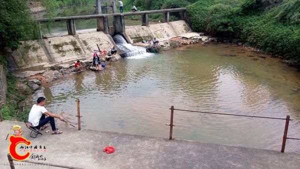 还好没遇到电飞
