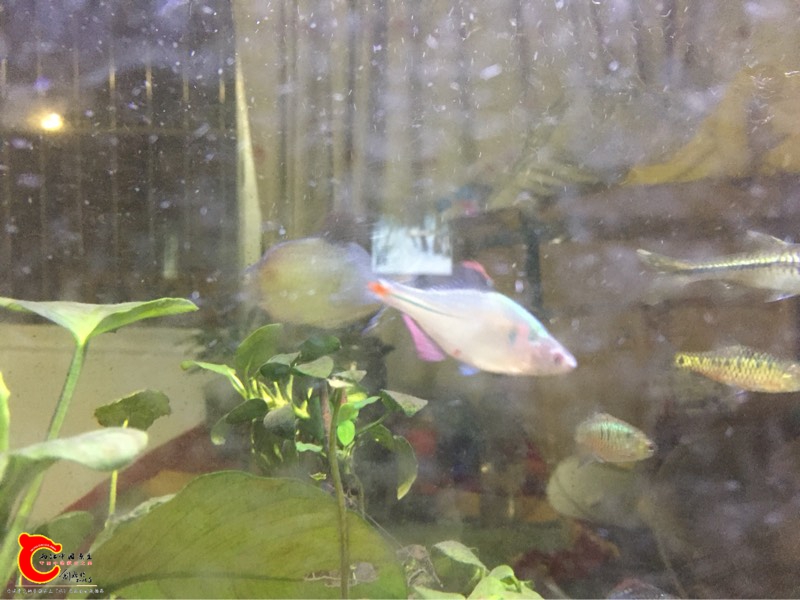 210817naw06wblebrzlljl.jpg