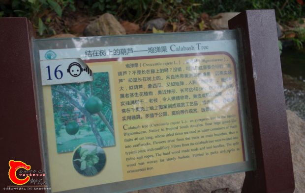 QQ截图20170504192219.jpg