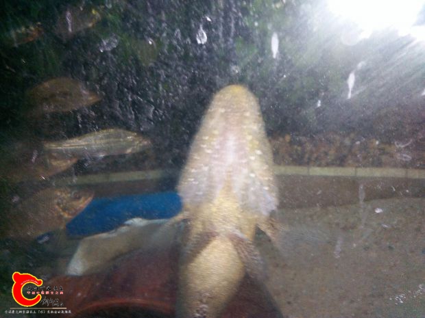 IMG20170505013753.jpg