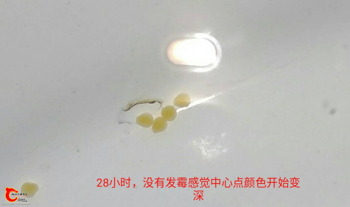 231909j3g6aabbx6ajz3bb.jpg
