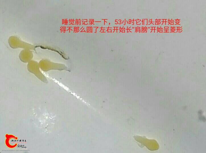 013906l6ateg66o6j6afaj.jpg