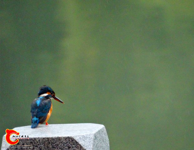 DSC04251.JPG