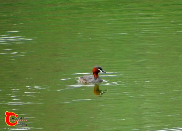 DSC04256.JPG