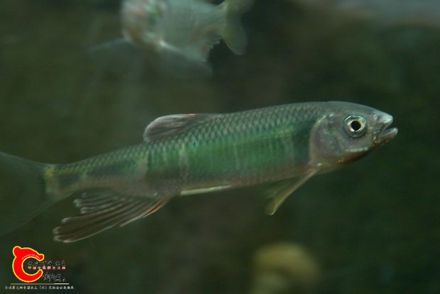 _DSC2011.JPG