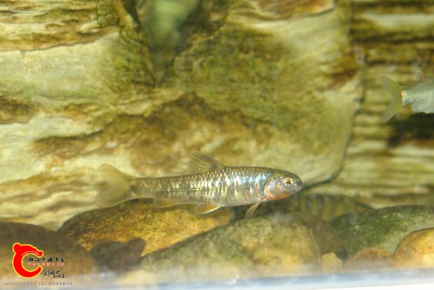 DSC02324_meitu_3.jpg