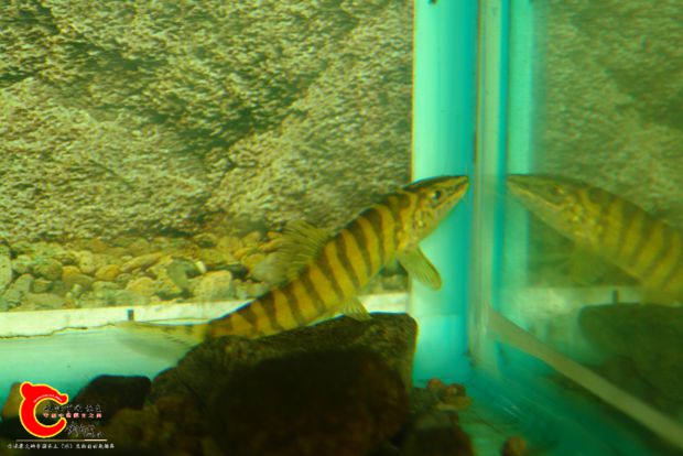 DSC02358_meitu_5.jpg