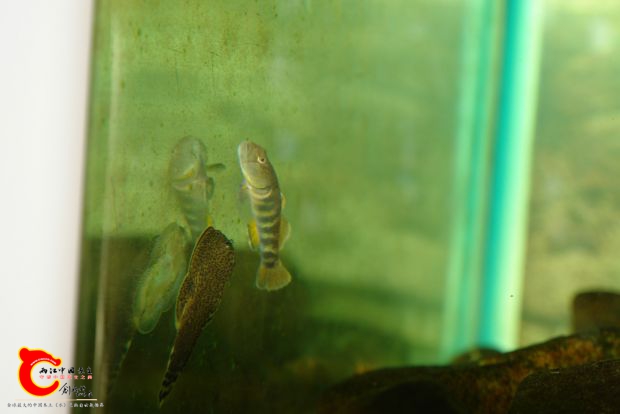 DSC02371_meitu_1.jpg