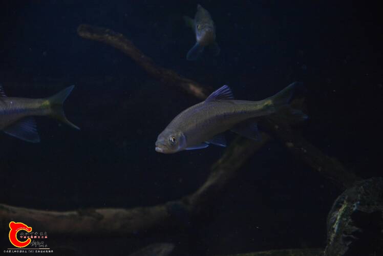 133028h7x8fsllwtfe87wx.jpg