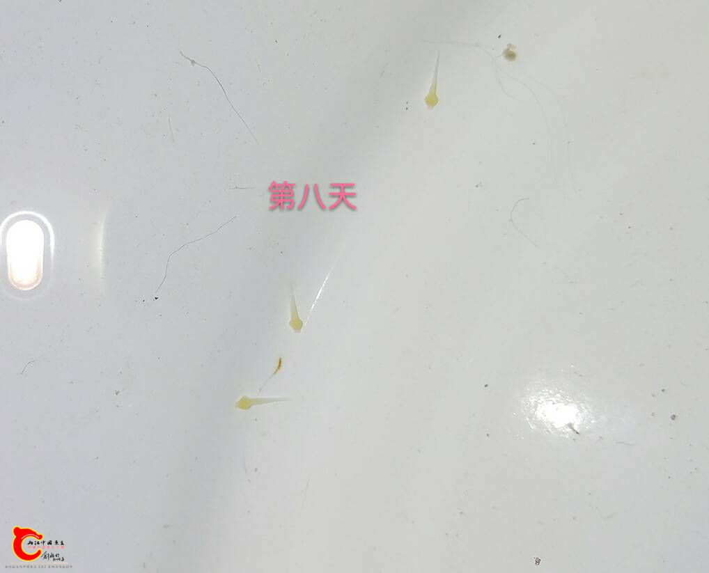 071731duzd21z661r6uaur.jpg