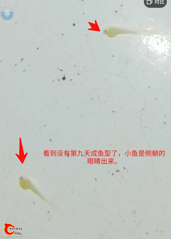 091936y6b363mqeqghxuve.jpg