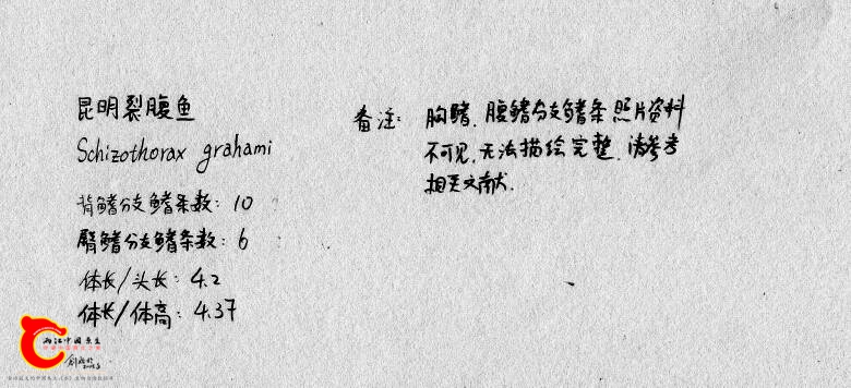 175212t1xfd3f1943e3ml1.jpg