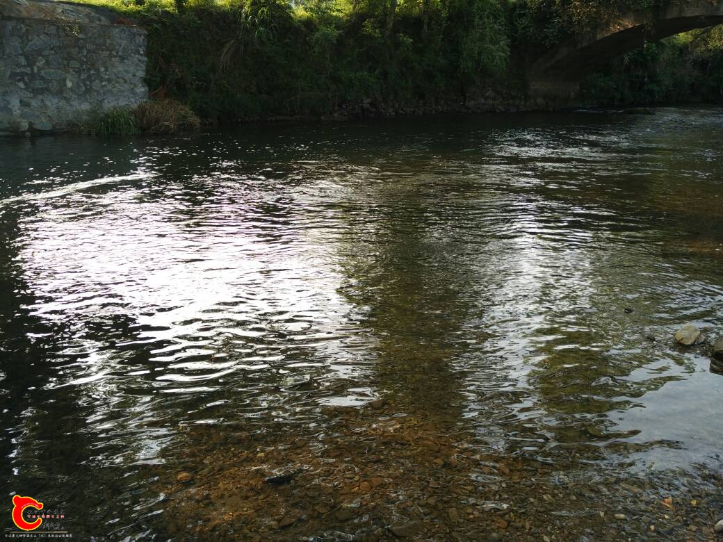 200052pfmg7wnn2w9gwnuk.jpg