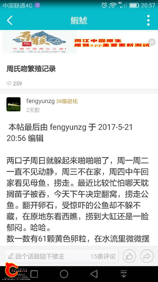 210547wd0otdleoaaf8tzj.png
