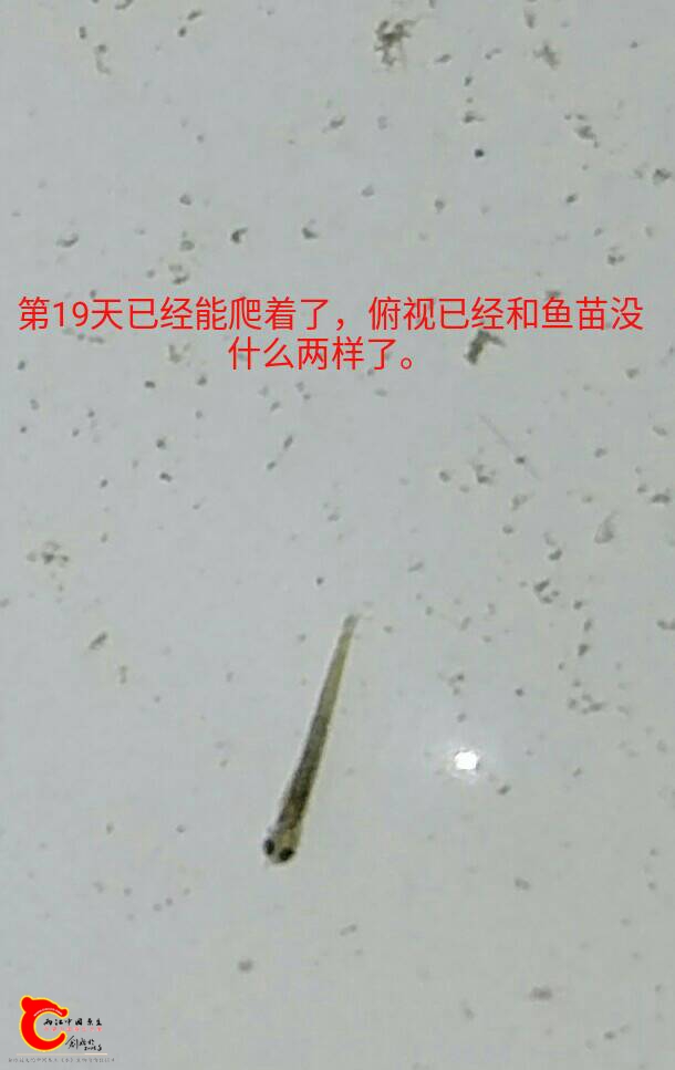090506si0iypehy8fk6ix8.jpg