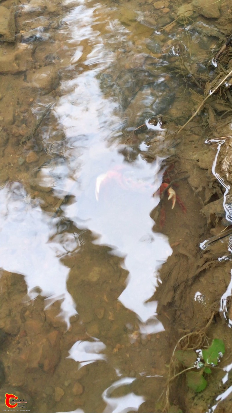 200747n0d9u8gk5ib895kh.jpg