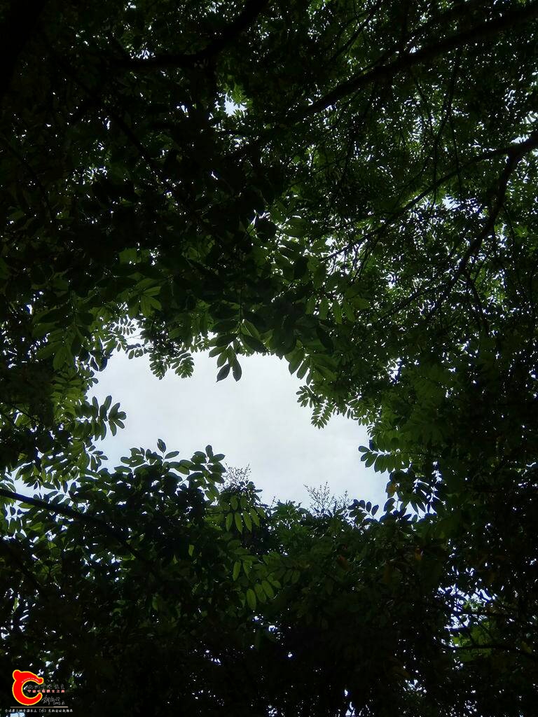 105003euqk11q1f04yh4pa.jpg