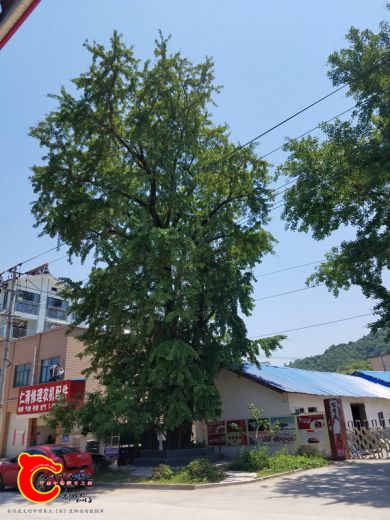 20170529_115152.jpg