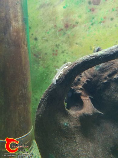 20170529_205741.jpg