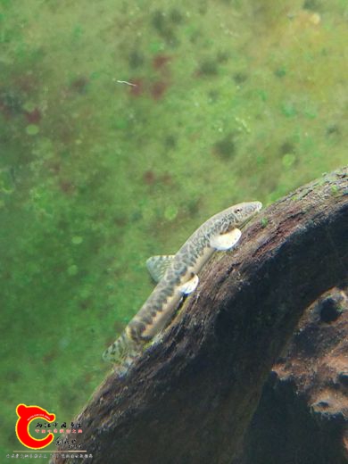 20170529_205756.jpg